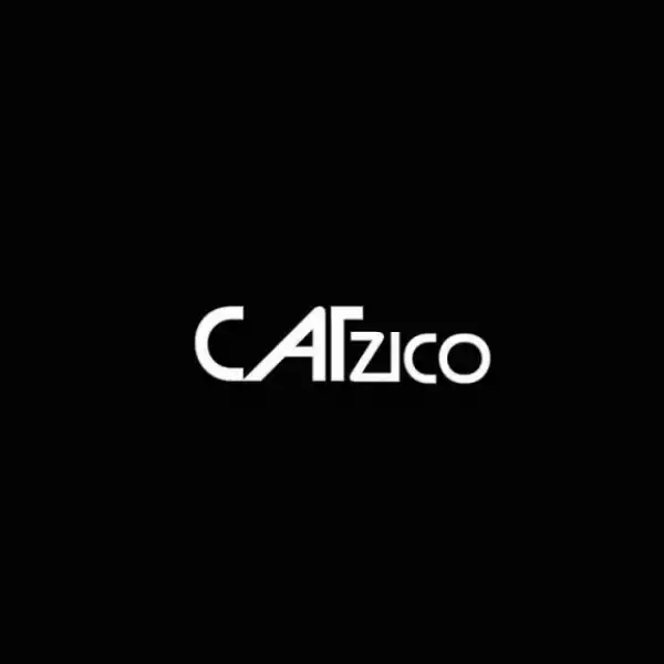 Dj Catzico - Safa Saphela Isizwe [Remix]